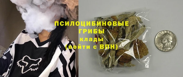 герыч Новодвинск