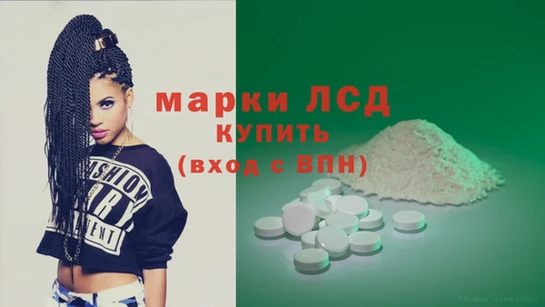 индика Новокубанск