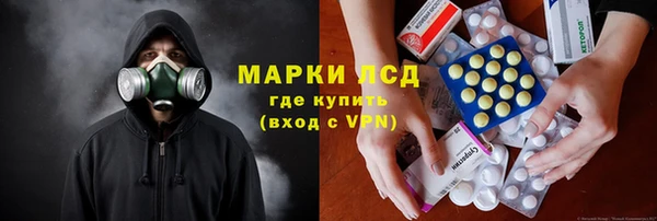 индика Новокубанск