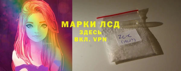 индика Новокубанск