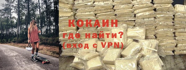 индика Новокубанск