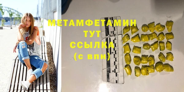 индика Новокубанск