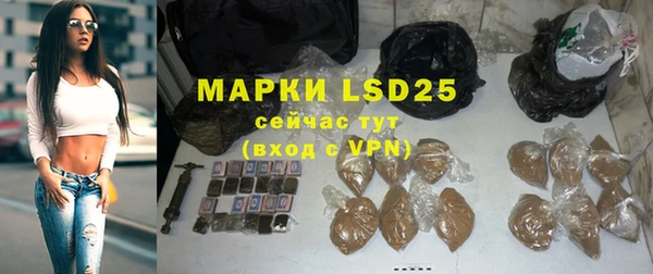 индика Новокубанск