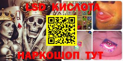 дмт Бийск