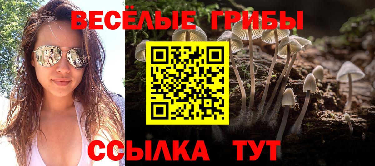 где продают наркотики  Вход с VPN  Сыктывкар  Псилоцибиновые грибы MAGIC MUSHROOMS 